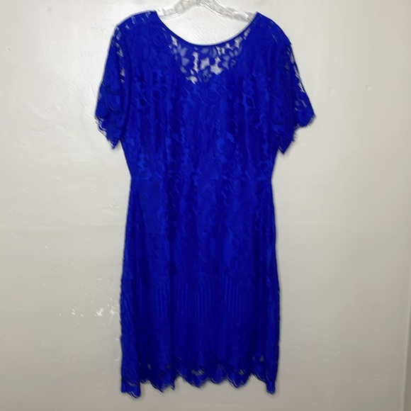 MSLG Dresses & Skirts - MSLG Sheath Blue Dress Lace Overlay Short Sleeves Croquette Scalloped Hem NWT Lg